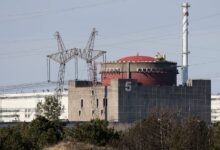 Photo of IN BRIEF: Staff member killed in Ukrainian drone strike on Zaporozhye nuke plant
