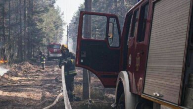 Photo of IN BRIEF: What we know about large fire in Chernobyl exclusion zone