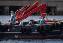 Photo of Passengers begin disembarkment from cruise ship hit by hantavirus outbreak — WHO chief
