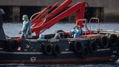 Photo of Passengers begin disembarkment from cruise ship hit by hantavirus outbreak — WHO chief
