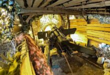 Photo of Group of mercenaries from Germany, UK destroyed in Zaporozhye Region — security forces